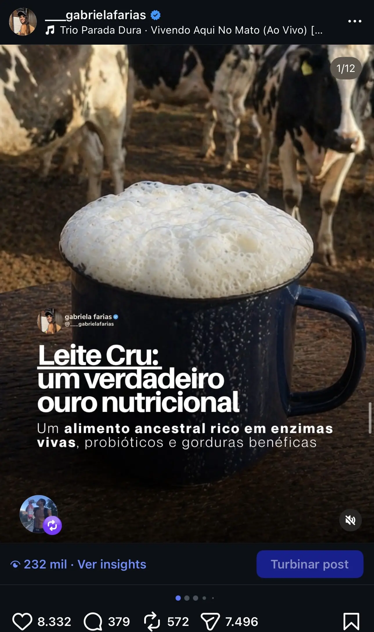conteúdo